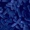 Scanned electron micrograph of Legionella pneumophila bacteria